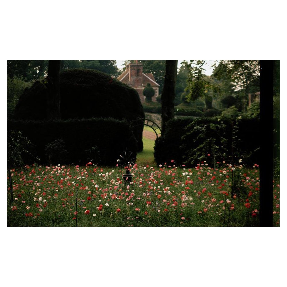 WILD FLOWERS AT REDDISH HOUSE by CECIL BEATON, from $145