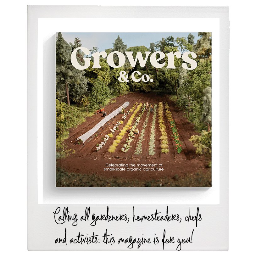 Growers &amp; Co. Magazine, $20, Growers &amp; Co.