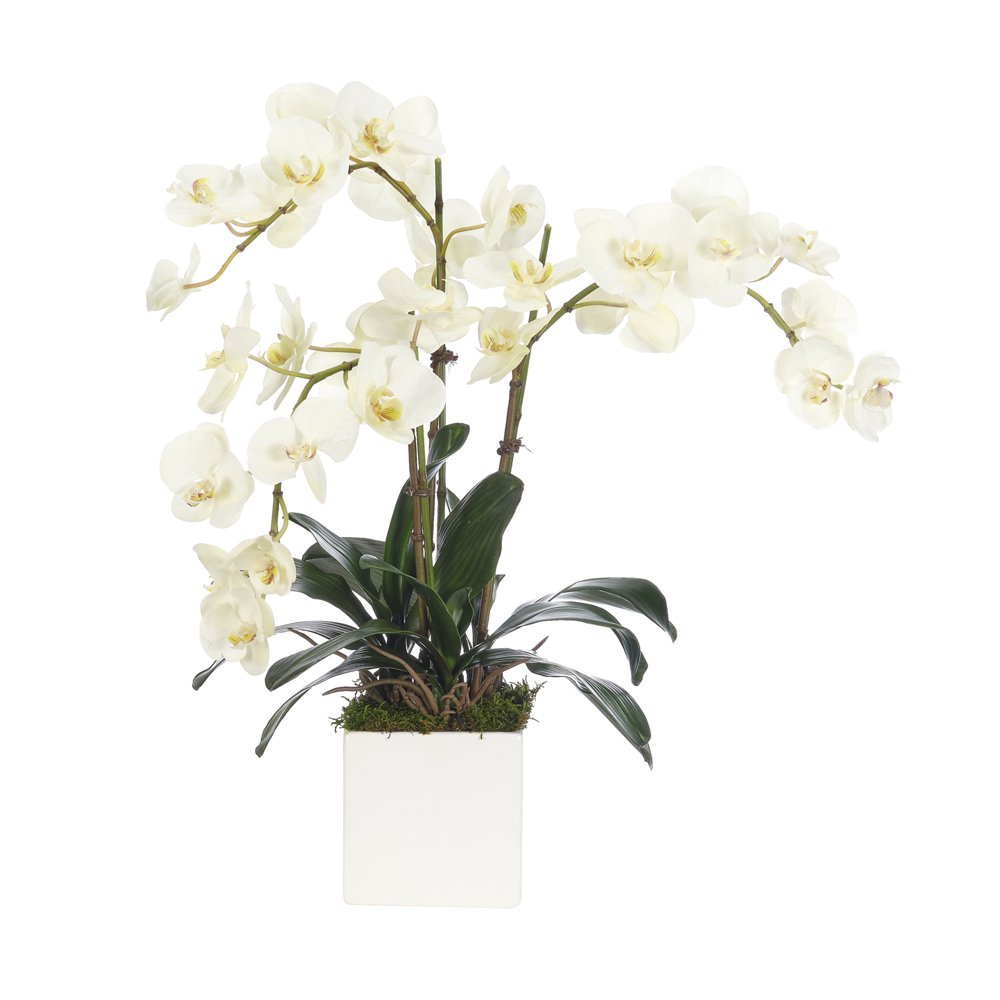 Orchid Phalaenopsis, Cream White Ceramic Cube, Faux Arrangement, 25″, $407, ndi